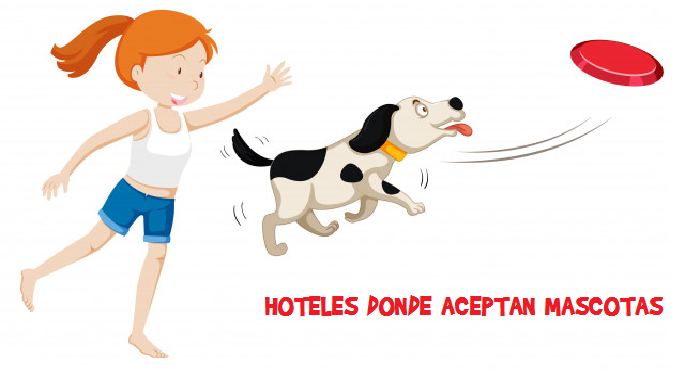 Hoteles en Cartagena donde acepten mascotas