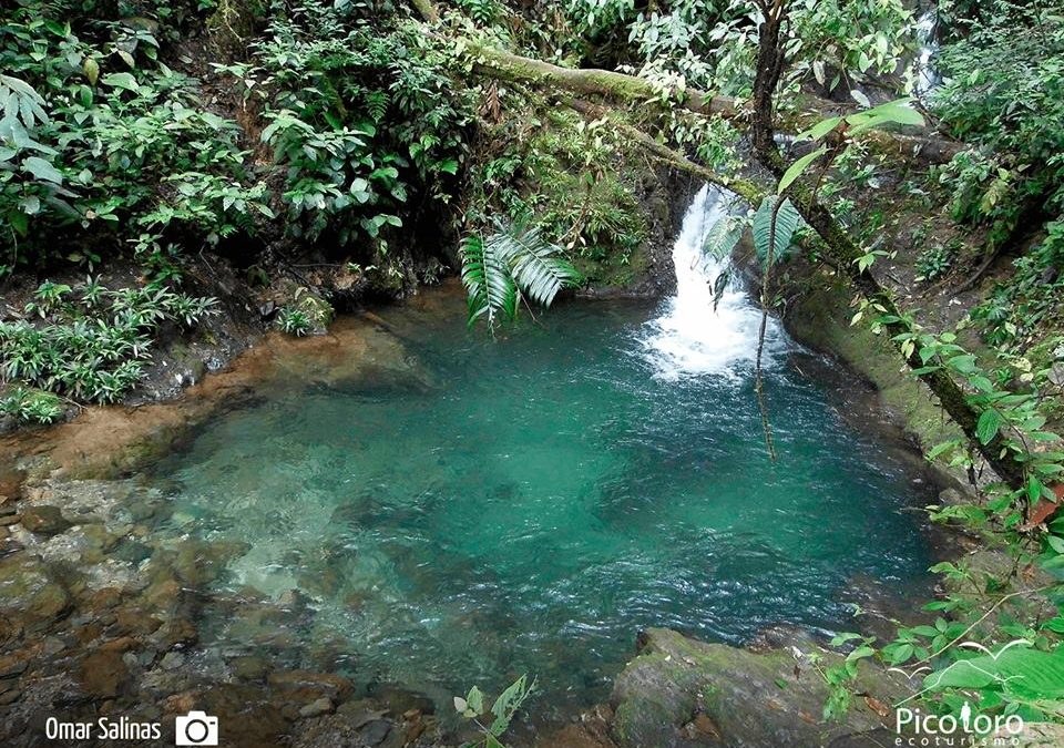 7 charcos profundos para disfrutar en el Valle del Cauca